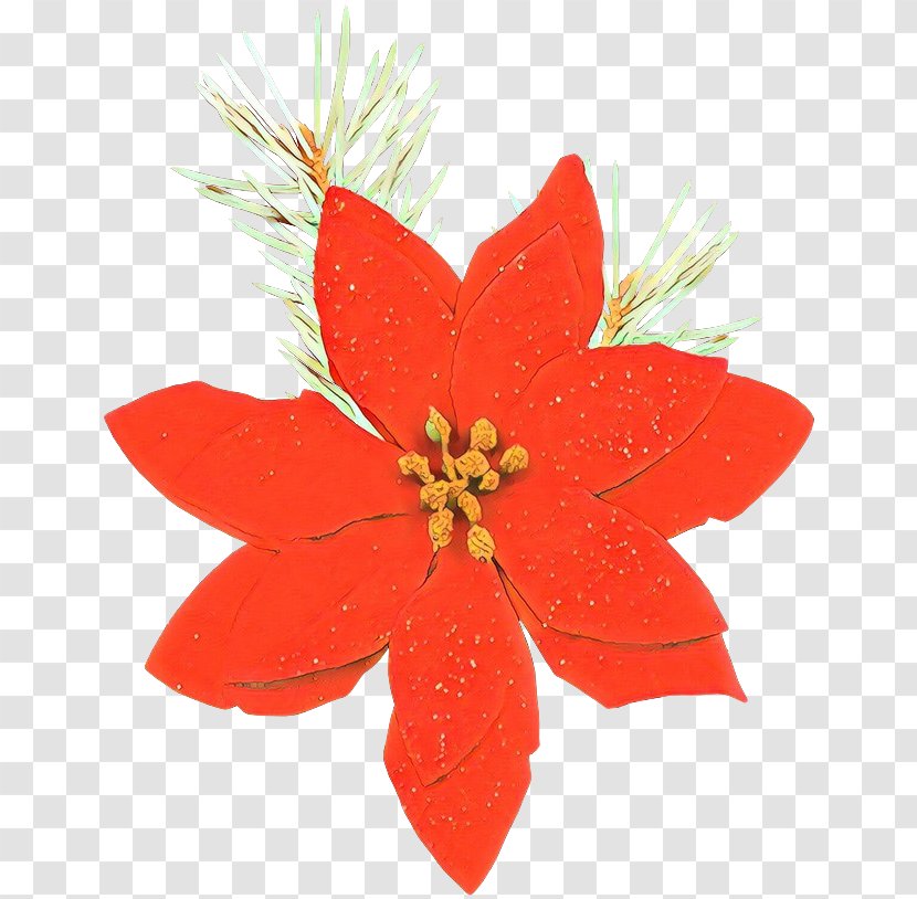 Christmas Ornament - Red - Wildflower Transparent PNG