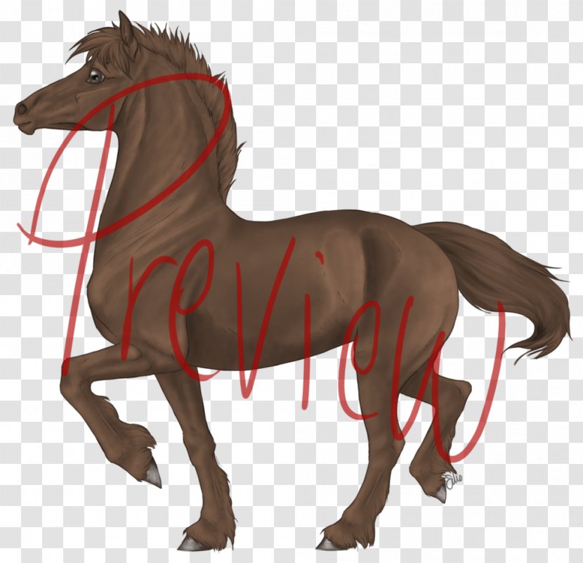 Pony Mare Foal Mustang Stallion - Line Art - Shading Transparent PNG