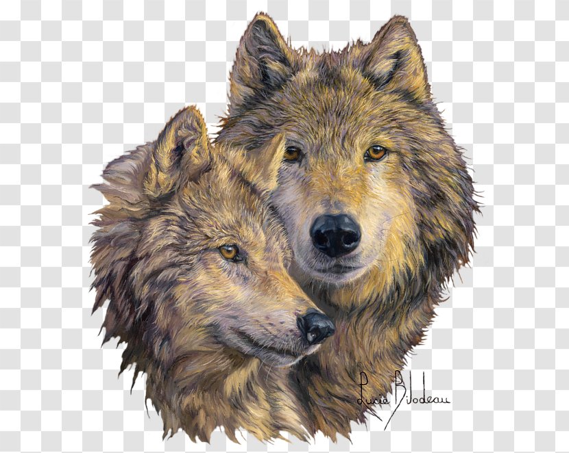Gray Wolf Painting IPhone Drawing Embroidery - Canis Lupus Tundrarum - Bond Transparent PNG