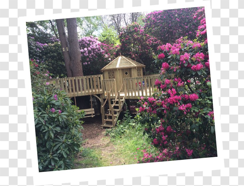 Tree House Cheeky Monkey Treehouses Ltd Garden Shed - Landscaping Transparent PNG