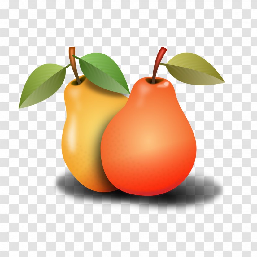 Tangerine Apple Tangelo Mandarin Orange Food - Persimmon Transparent PNG