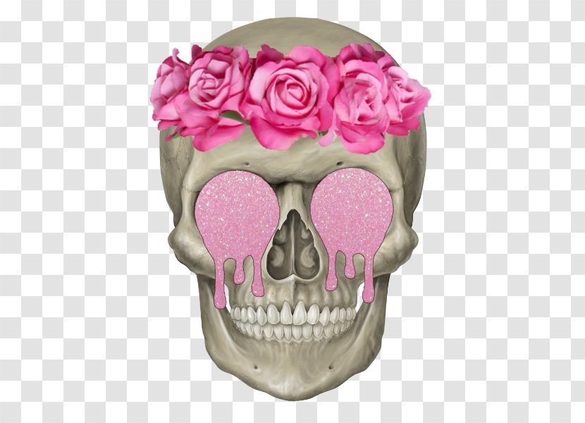 Human Skeleton Skull Axial Head - Petal - Pink Transparent PNG