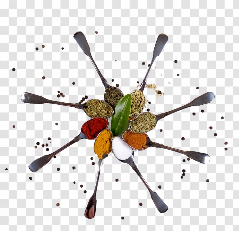 Flavor Spice Mem Saab Food Indian Cuisine - Taste - Spoon Transparent PNG