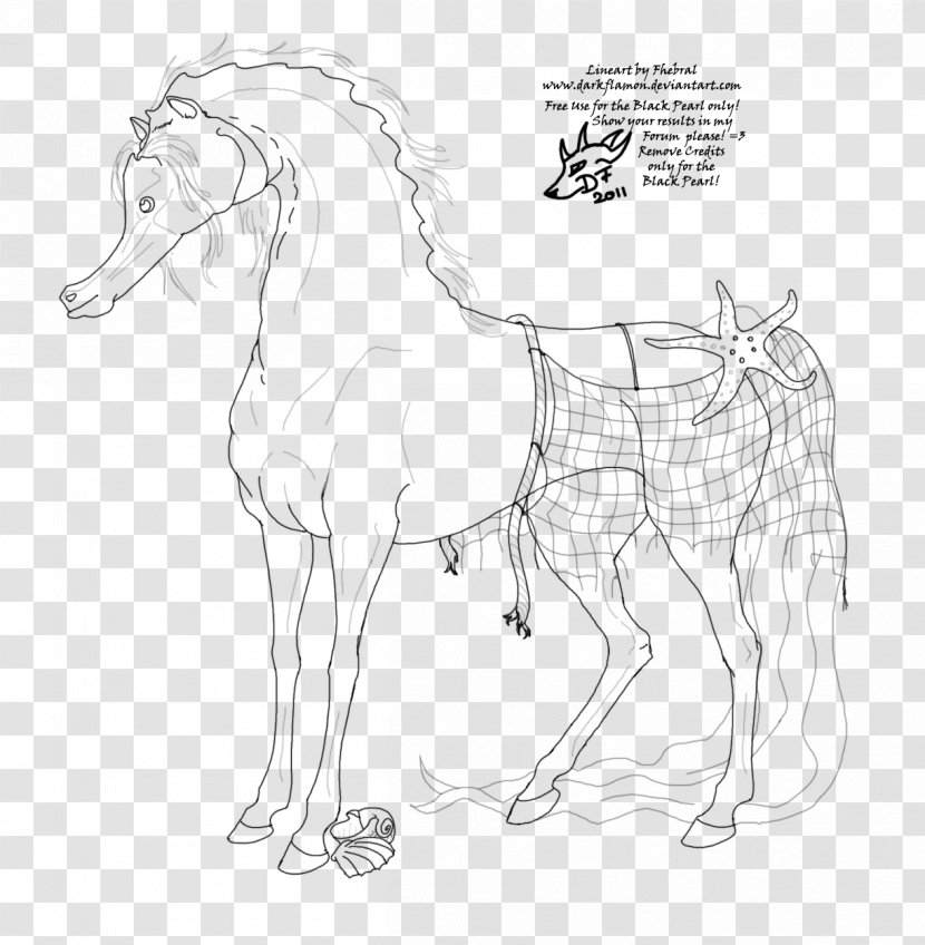Pony Mustang Stallion Colt Rein - Wildlife - Seahorse Transparent PNG