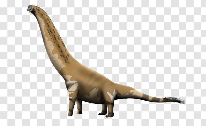 Brachiosaurus Dinosaur Giraffatitan Ankylosaurus Camarasaurus - Barosaurus Transparent PNG