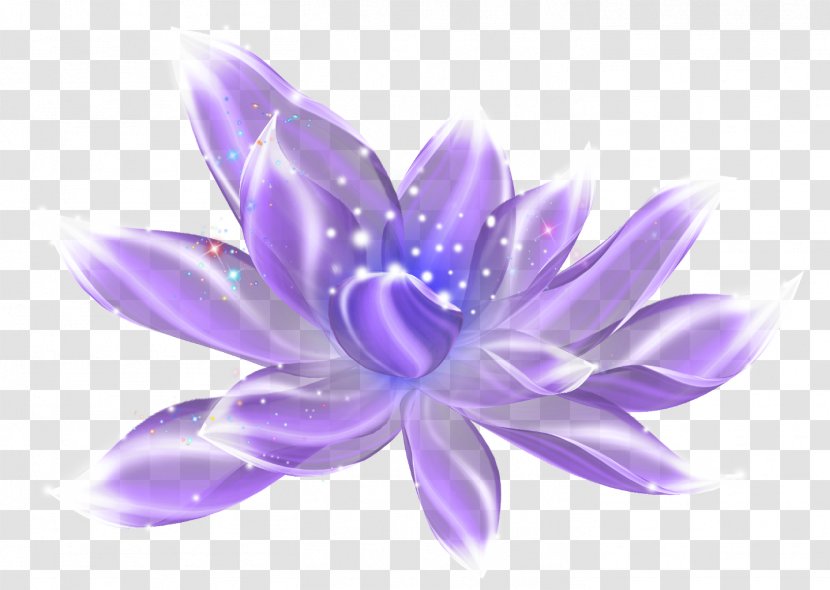 Violet Light Purple - Lilac - Flowers Transparent PNG