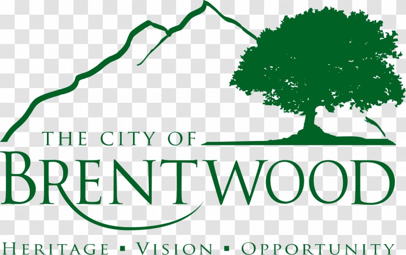 Brentwood Martinez Antioch Hayward Benicia - Business Agency Transparent PNG