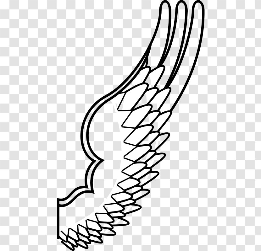 Bird Owl Wing Clip Art - Angel - Outline Drawing Transparent PNG