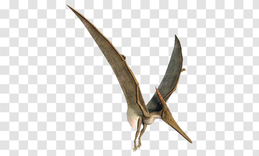 Pteranodon Stock Photography Royalty-free Pterodactyl Illustration - Plant - Obscured Child Transparent PNG
