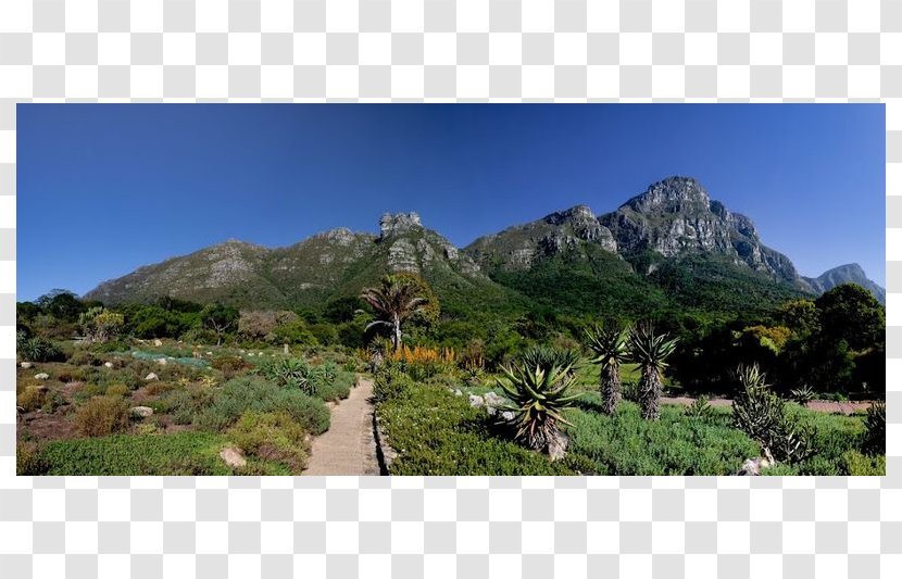 Kirstenbosch National Botanical Garden Park Route - Table Mountain Transparent PNG