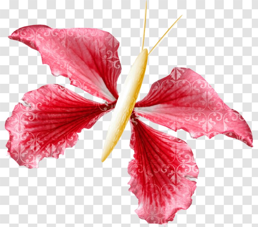 Flower KATILIM 30 Petal Clip Art - Mallow Family - Plant Transparent PNG