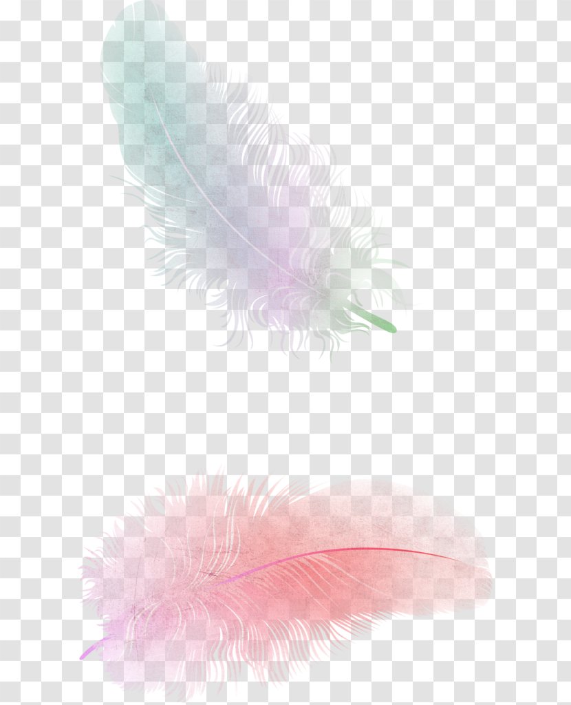 Feather Color Gradient Euclidean Vector - Pink - Green Fresh Decorative Patterns Transparent PNG