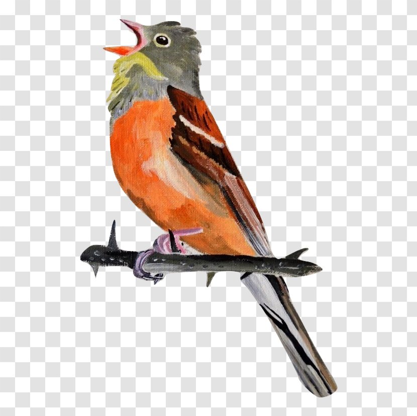 European Robin Common Nightingale Finches Fauna Beak - Songbird - Lyre Transparent PNG