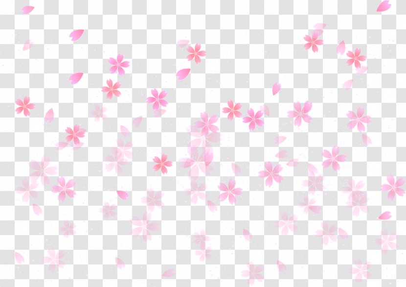 Cherry Blossom Pink - Flower - Flowers Transparent PNG