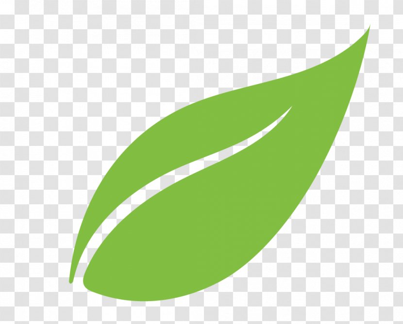 Leaf Cargo URBIENT Meer Foundation Trade Transparent PNG