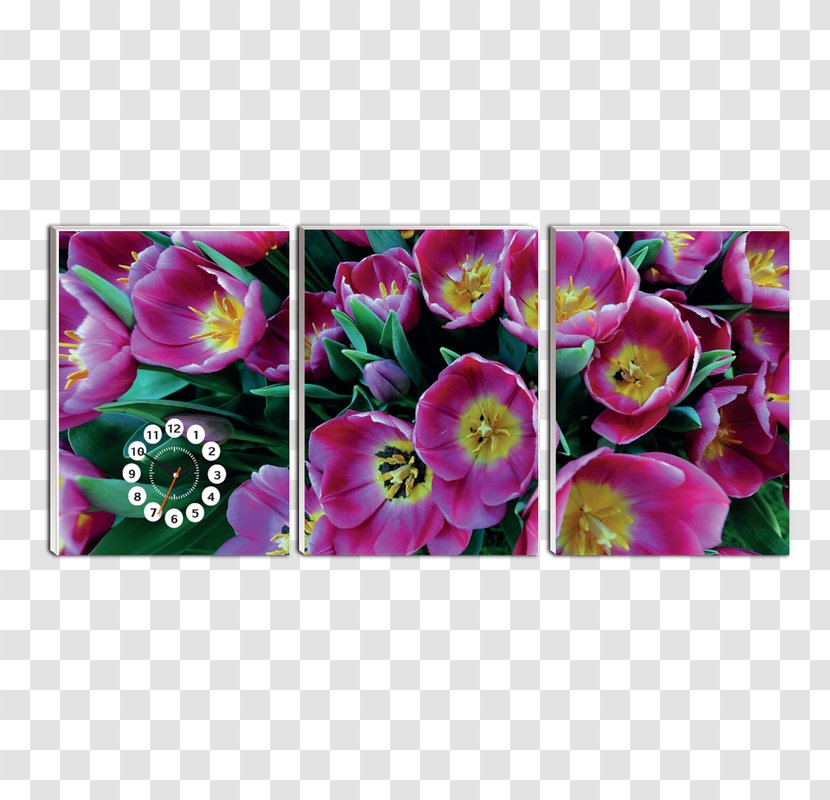 Petal Tulip Flower Blume Peony Transparent PNG