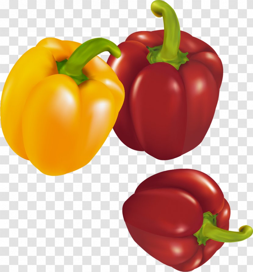 Habanero Red Bell Pepper Chili Yellow - Fruit - Colorful Decoration Pattern Transparent PNG