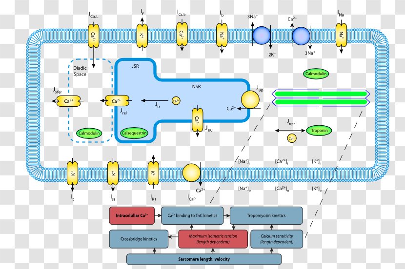 Line Point Technology - Parallel Transparent PNG