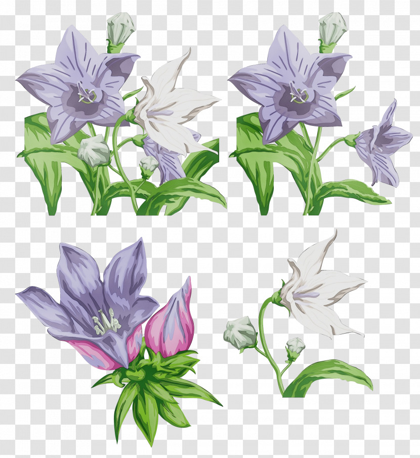 Lavender Transparent PNG