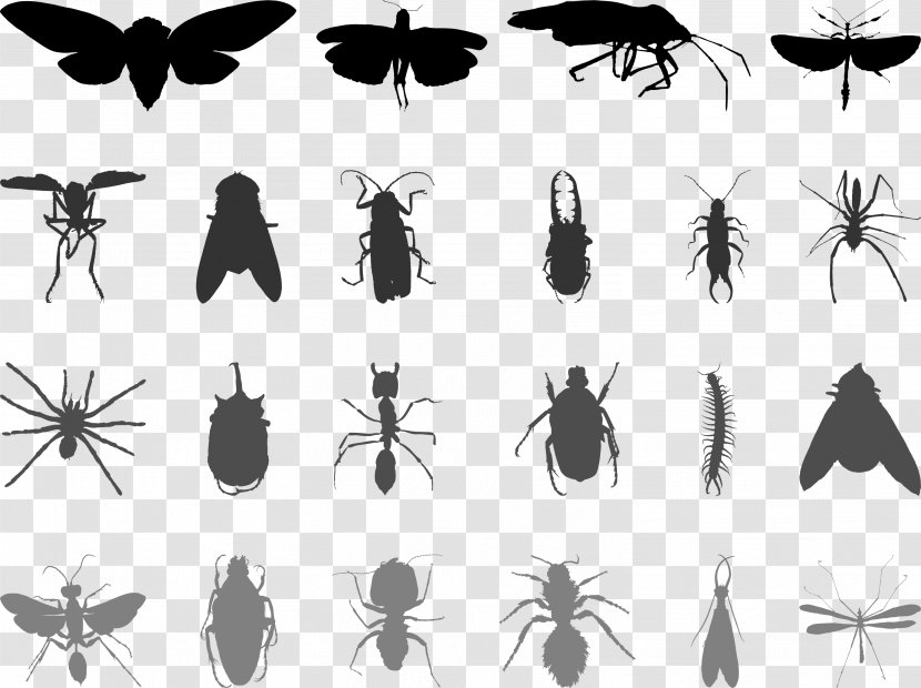 Mosquito Insect Butterfly Ant - Silhouette - Flies Mosquitoes Transparent PNG