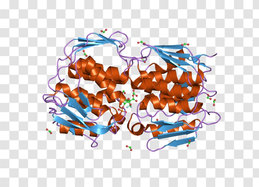EPSP Synthase Chorismate Transferase Glyphosate E. Coli - Tree - Watercolor Transparent PNG