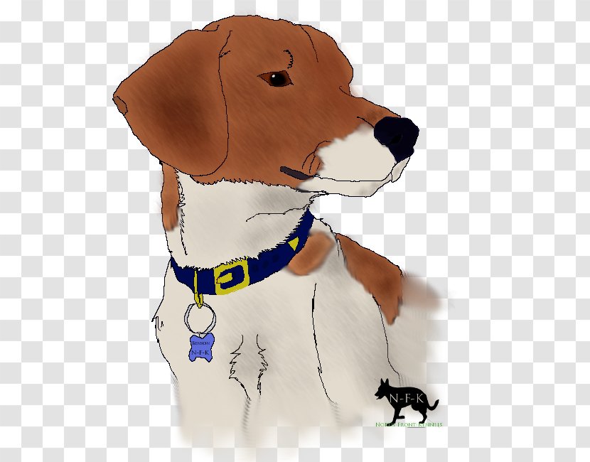 Dog Breed Puppy Companion Snout - Beagle Lab Mix Transparent PNG