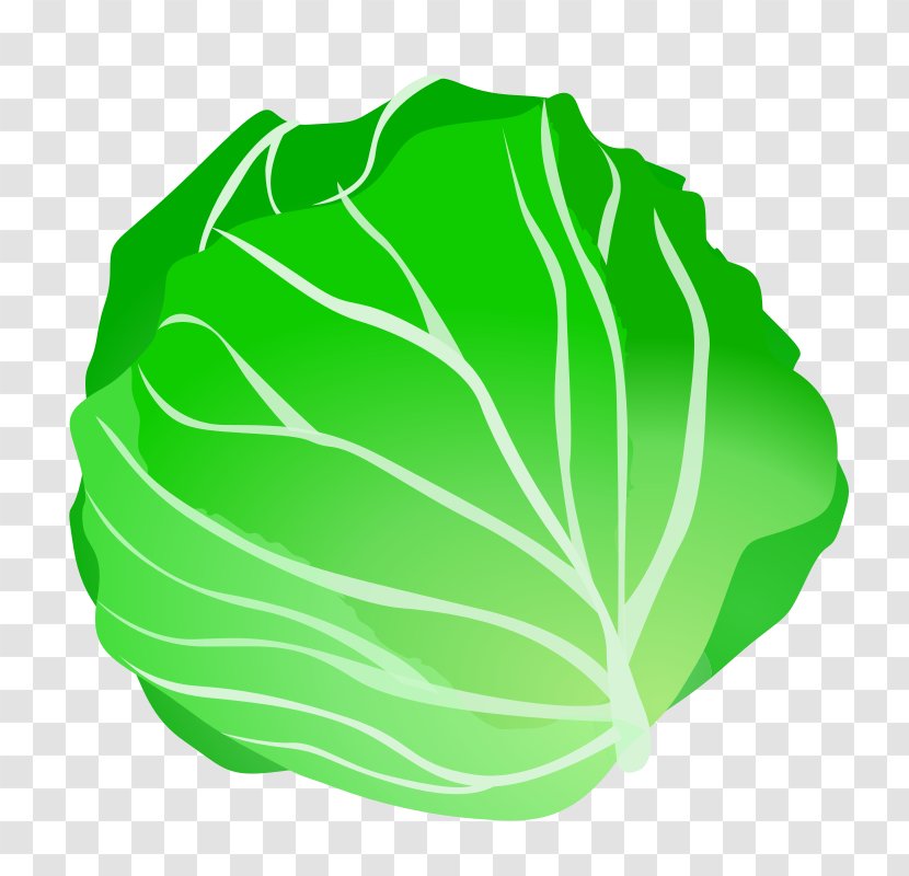 Cabbage Vegetable Clip Art - Leaf Transparent PNG