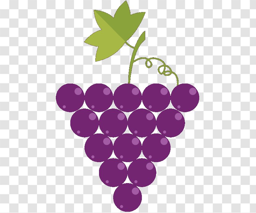 Grape Wine Asti Loazzolo Illustration - Plant - Winery Transparent PNG