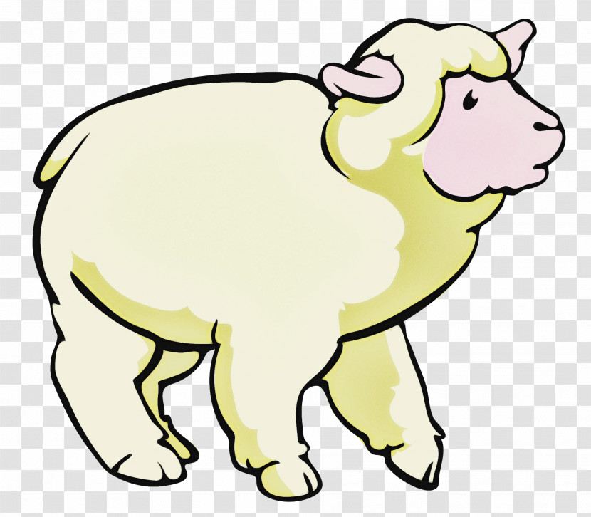 Dog Sheep Cat Cat-like Meter Transparent PNG