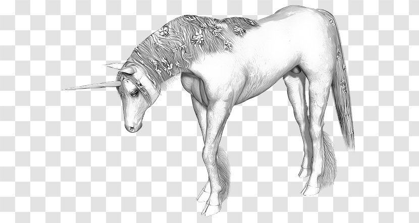 Unicorn Horn Horse Legendary Creature - Fairy Tale Transparent PNG