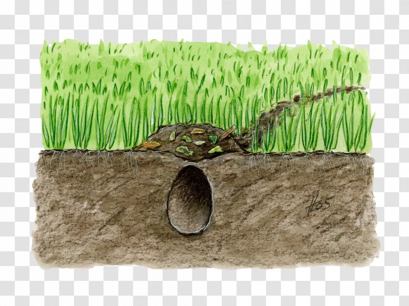 Soil Horizon Grass - Lawn - Hand Painted Underground Hole Transparent PNG