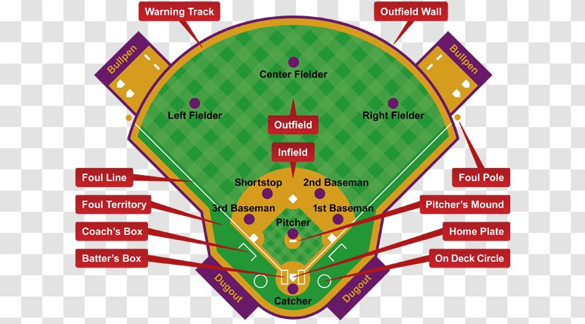 Baseball Positions Field Softball Sport - Plant Transparent PNG