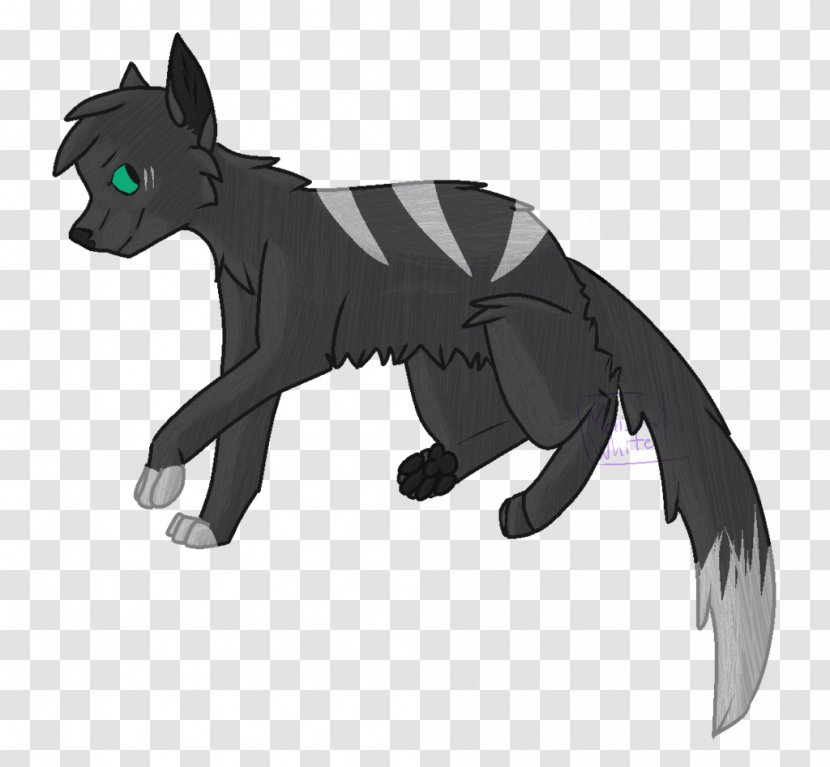 Whiskers Cat Dog Canidae Puma Transparent PNG