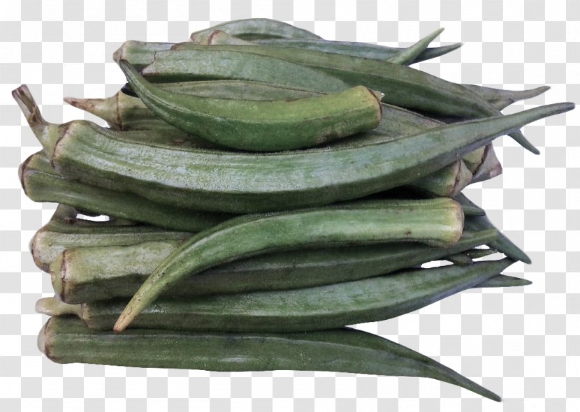 Okra Plant Food Vegetable Mallow Family Transparent PNG
