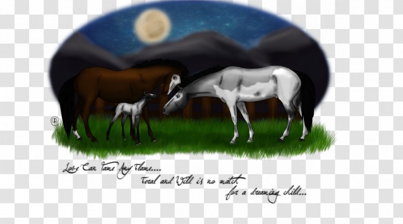 Horse Cattle Sheep Livestock Animal - Late Night Transparent PNG