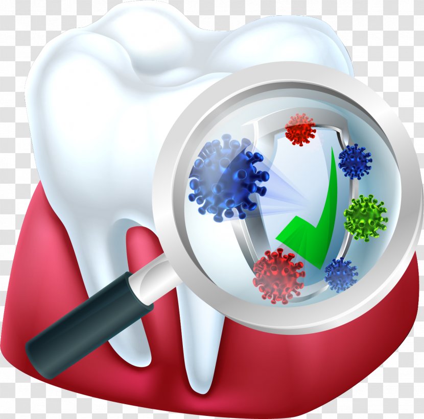 Human Tooth Decay Bacteria - Dentistry - Dental Transparent PNG