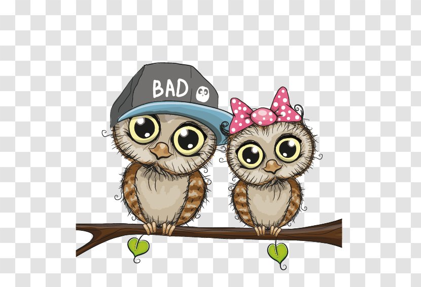 Owl Bird Cartoon - Drawing - Couple Transparent PNG