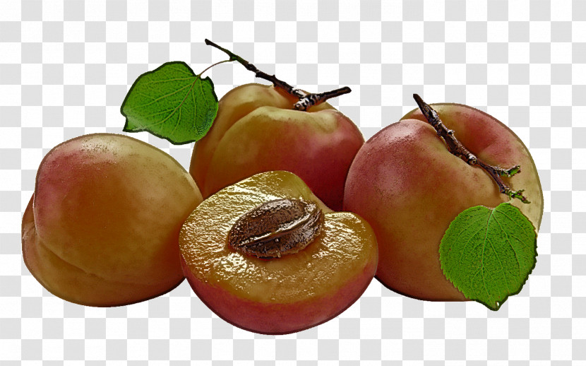 European Plum Fruit Food Plant Natural Foods Transparent PNG