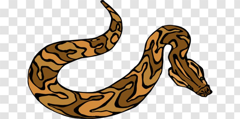 Corn Snake Green Anaconda Clip Art Transparent PNG