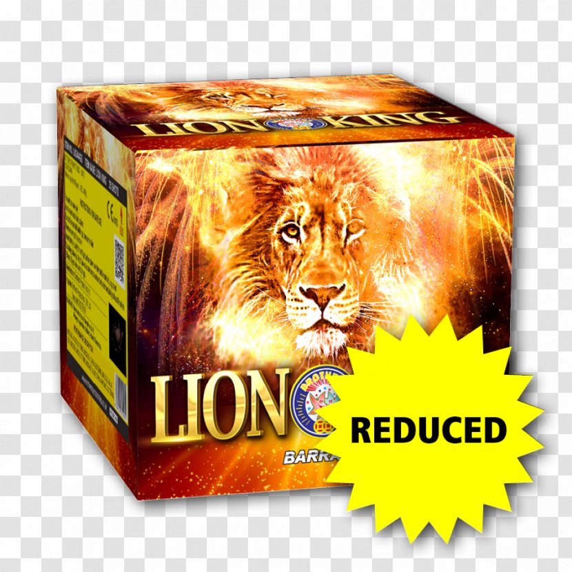 Fireworks Pyrotechnics Party New Year Guy Fawkes Night - Rocket - Lion King Transparent PNG