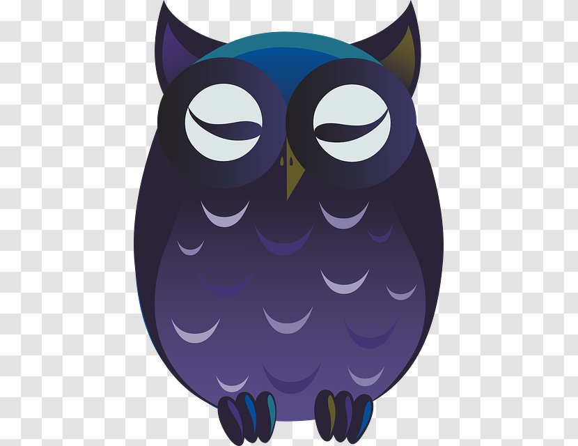 Owl Bird Clip Art Image Cartoon - Beak Transparent PNG