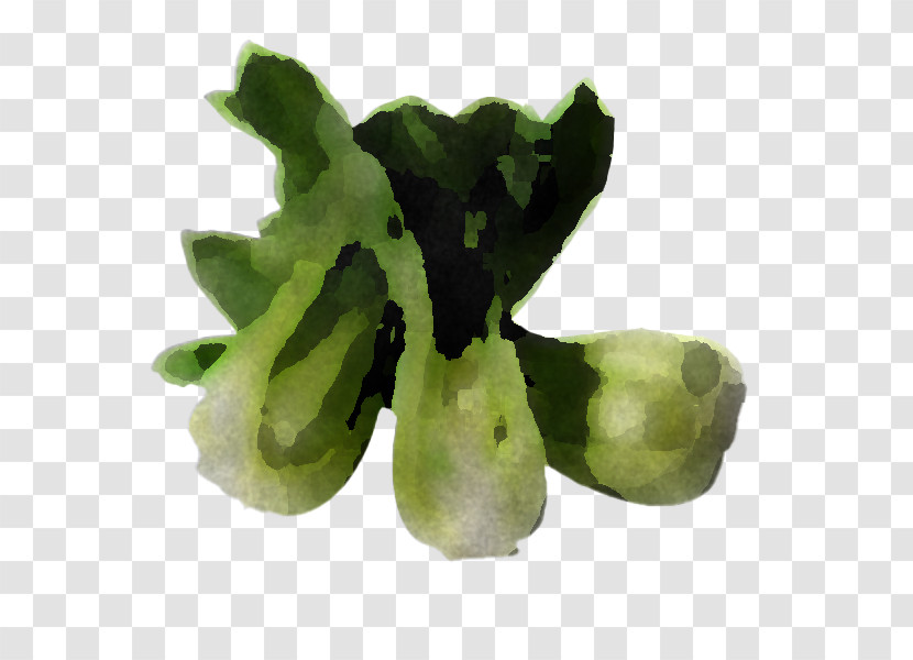 Leaf Vegetable Vegetable Transparent PNG