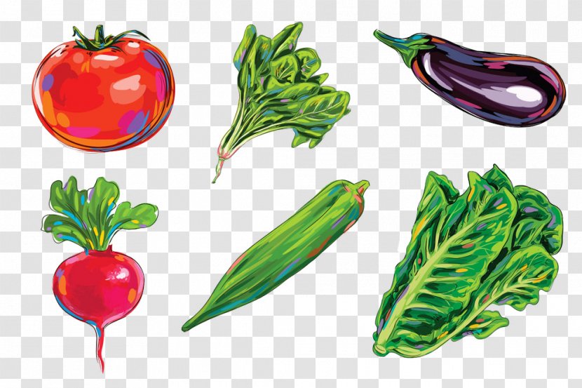 Drawing Eggplant Illustration - Fruit - Food Picture 3d Sketch Transparent PNG