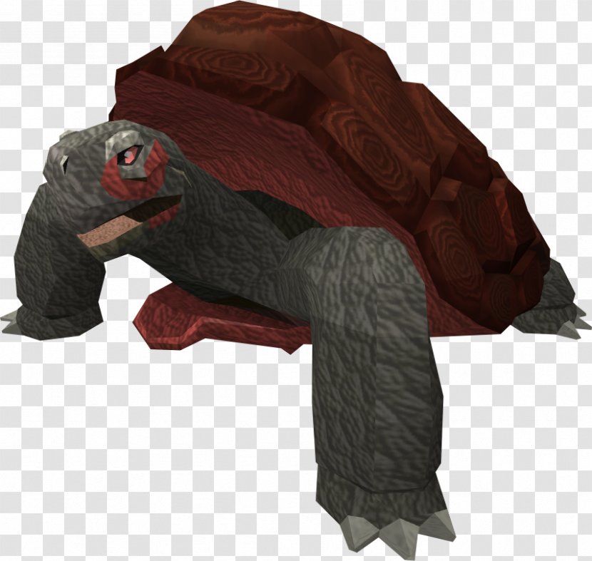 RuneScape Video Game Tortoise Turtle Wikia - Tortoide Transparent PNG