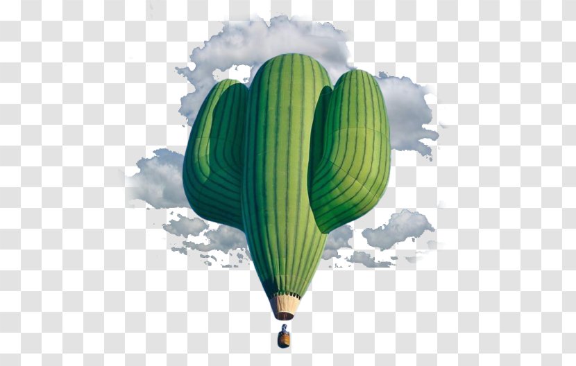 Earth Internet Art Adidas Yeezy Nike Aesthetics - Hot Air Balloon - Watercolor Cactus Transparent PNG