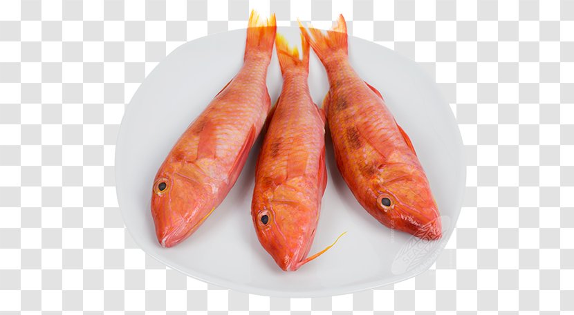Fish Red Mullet Seafood Upeneichthys - Seacore Inc Transparent PNG