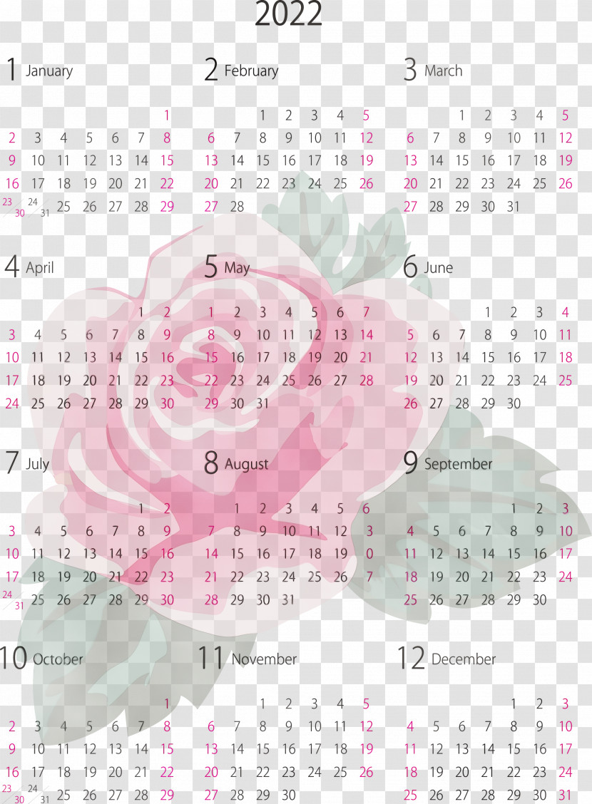 Calendar System Font Line Meter Geometry Transparent PNG