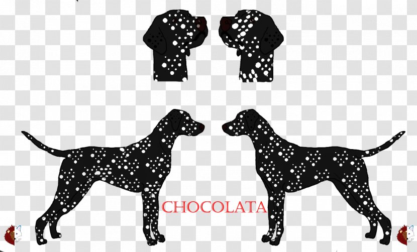 Weimaraner Dalmatian Dog Black And Tan Coonhound German Shorthaired Pointer Dobermann - Paw - Chocolata Transparent PNG