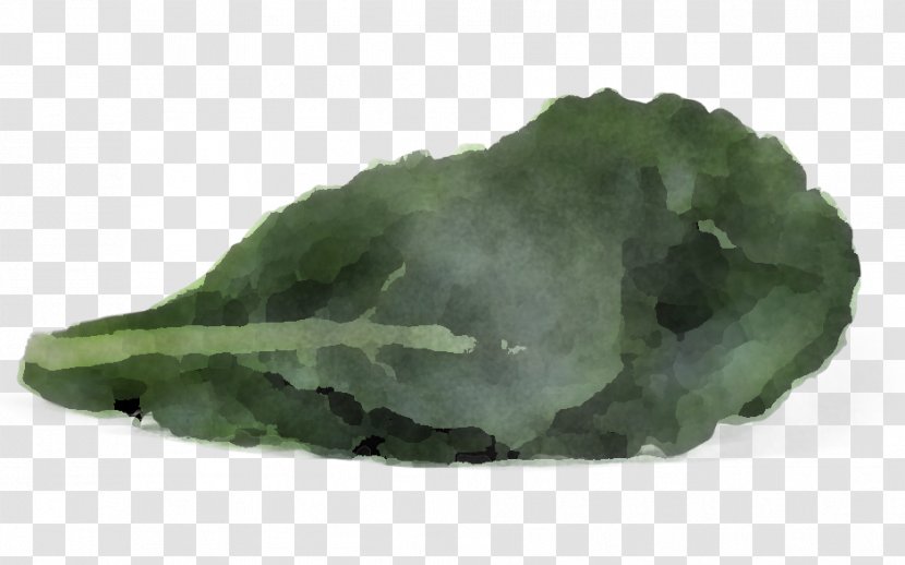 Green Leaf Mineral Jade Rock - Vegetable Plant Transparent PNG
