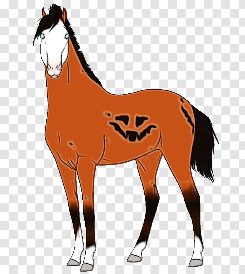 Mane Foal Mustang Mare Stallion - Yonni Meyer - Horse Supplies Fawn Transparent PNG
